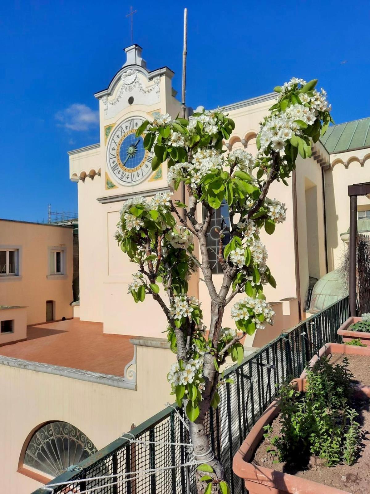 Bed & Breakfast Dimora Cortese Napoli